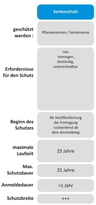 Sortenschutz Pfanzensorte Sortenschutzrecht neu, homogen bestndig unterscheidbar Bundessortenschutzamt Hannover Fachanwalt